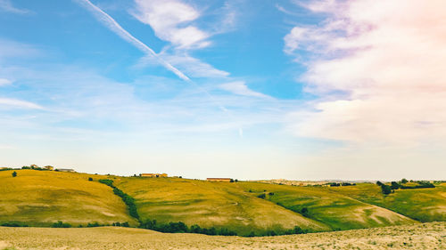 Scenic view of agricultural field against sky