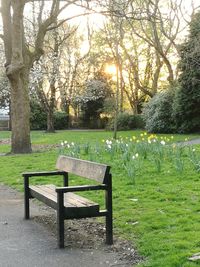 Bench in park