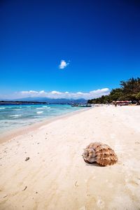 Scenic view of beach against clear blue sky