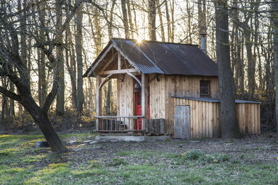 House amidst trees and plants in forest