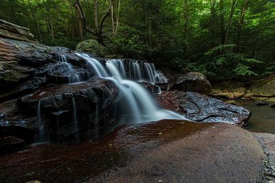 Waterfall in forest