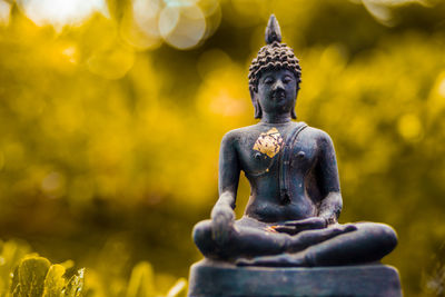 Close-up of buddha statue against yellow plants