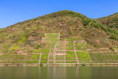 Scenic view of lake against clear sky