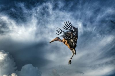 Low angle view of bird flying against sky