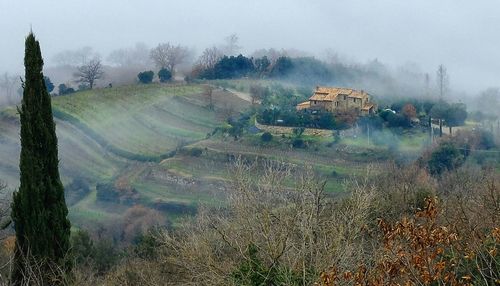 Panoramic view of field against sky