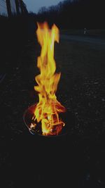 Close-up of bonfire at night
