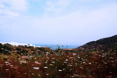 Buildings in town against sky