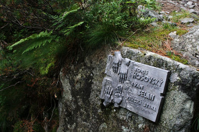 Close-up of cemetery