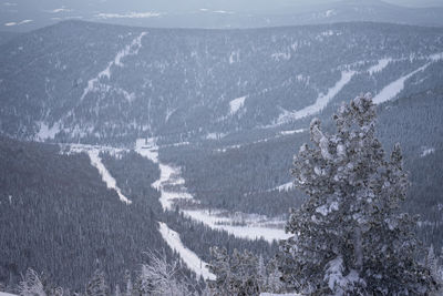 snow