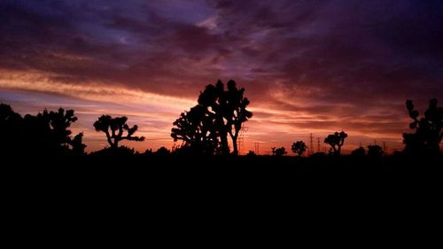 Silhouette of trees against cloudy sky