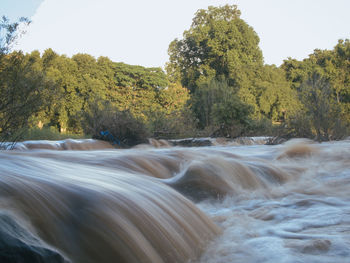 Stream flowing in forest against clear sky