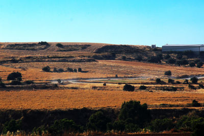 Scenic view of field against clear sky