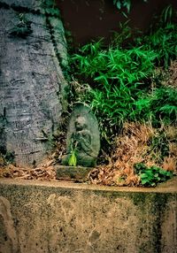 Close-up of statue on grass