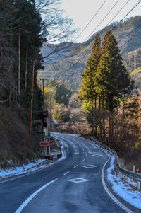 Empty road along trees and plants