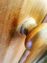 Extreme close up of wooden door