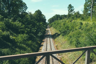 Footbridge amidst trees in forest against sky