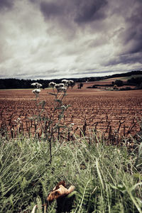 Hay bales on field against sky