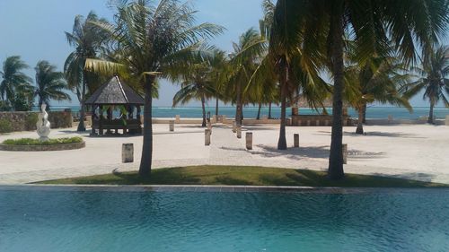 Palm trees by swimming pool against sky