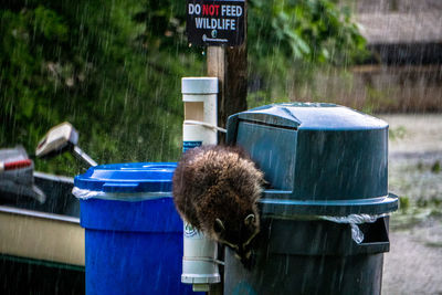 Close-up of garbage can against trees