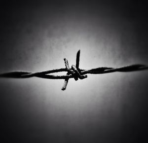 Close-up of barbed wire