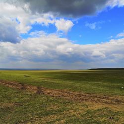 Scenic view of field against sky