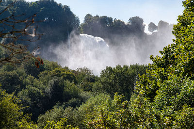 Panoramic view of waterfall in forest