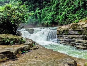 Scenic view of waterfall in forest