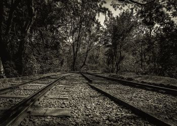 Railroad track in forest