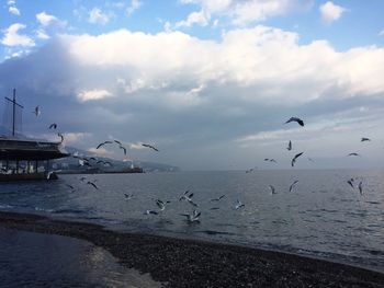 Seagulls flying over sea against sky