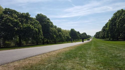 Road amidst trees against sky