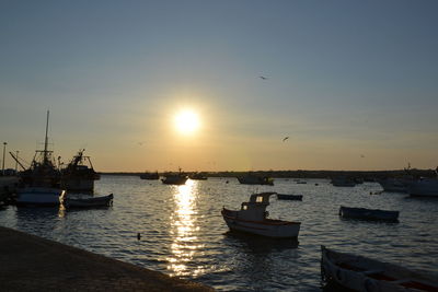 Sailboats in sea at sunset