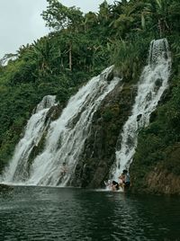 Scenic view of waterfall in forest