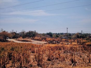 Scenic view of landscape against sky