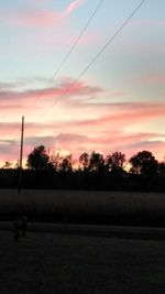 Silhouette trees on field against sky at sunset