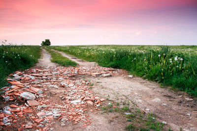 Dirt road amidst field against sky