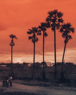 Silhouette palm trees on beach against sky during sunset