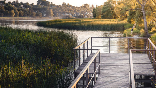 Scenic view of lake in forest