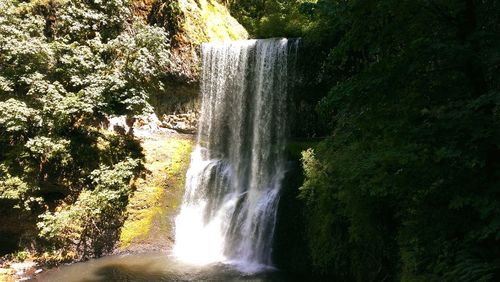 Scenic view of waterfall