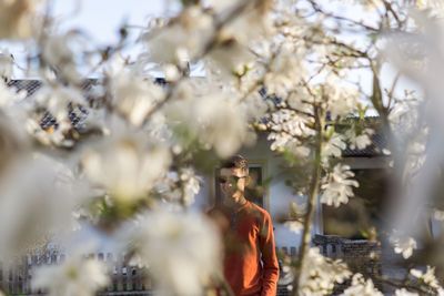 Close-up of flowers on tree