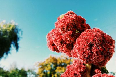 Low angle view of tree against sky