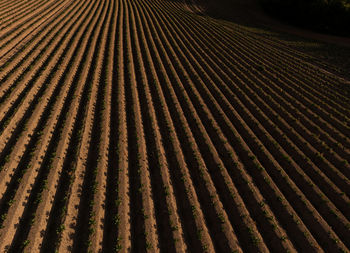 Full frame shot of metal