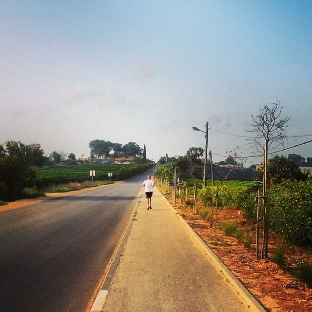 the way forward, road, transportation, tree, sky, walking, full length, diminishing perspective, rear view, lifestyles, men, vanishing point, street, leisure activity, clear sky, country road, day, grass