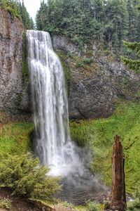 View of waterfall in forest