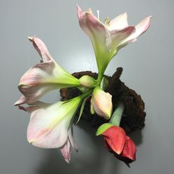 Close-up of pink flowers