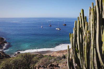 Scenic view of sea against clear sky