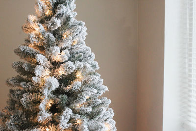 Low angle view of christmas tree at home