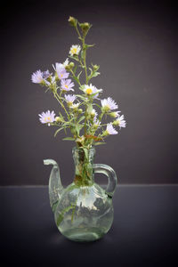 Close-up of flower vase against black background