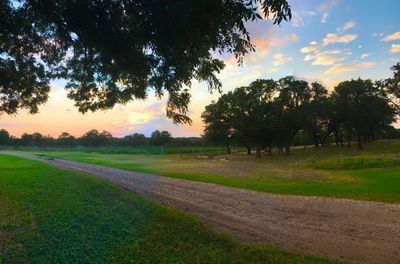 Scenic view of field against sky during sunset