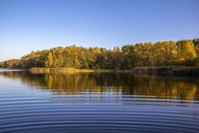 Scenic view of lake against clear sky during autumn