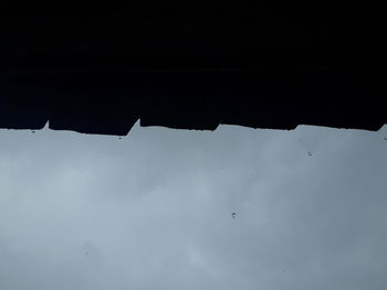 Low angle view of birds against sky